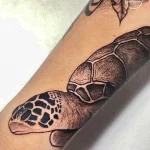Фото тату черепаха 18.05.22 №0035 - turtle tattoo tatufoto.com