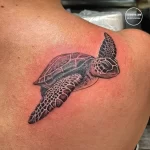 Фото тату черепаха 18.05.22 №0037 - turtle tattoo tatufoto.com
