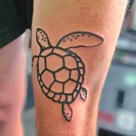 Фото тату черепаха 18.05.22 №0057 - turtle tattoo tatufoto.com