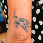 Фото тату черепаха 18.05.22 №0247 - turtle tattoo tatufoto.com