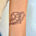 Фото тату: реалистичная татуировка черепахи на предплечье, с детальной проработкой панциря и текстуры кожи, выполненная опытным мастером.