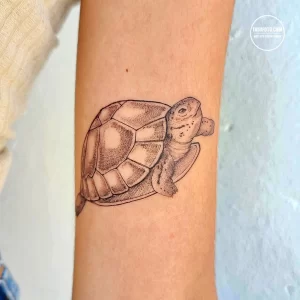 Фото тату: реалистичная татуировка черепахи на предплечье, с детальной проработкой панциря и текстуры кожи, выполненная опытным мастером.