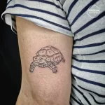 Фото тату черепаха 18.05.22 №0702 - turtle tattoo tatufoto.com