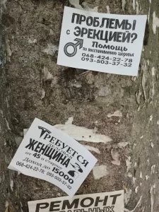Фотография дерева, на котором прикреплены различные объявления, включая листовки с предложениями и рекламой. На переднем плане видна часть татуировки на руке.