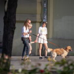 колоритная девушка с огромным количеством татуировок на теле шее и лице32 - Уличная тату 22062022 №132 - tatufoto.com