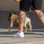 мужчина с татуировками собак и перьями внизу ногби - Уличная тату 22062022 №477 - tatufoto.com