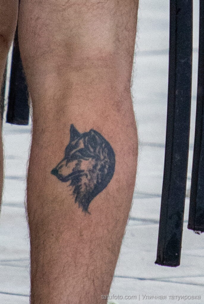 мужчина с татуировкой волка на икре правой ноги24 - Уличная тату 22062022 №484 - tatufoto.com