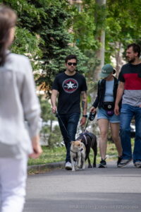 Фото мужчины с татуировкой на руке, выгуливающего двух собак. На руке мужчины видна татуировка с черепом и цветами.