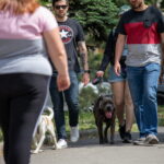 Фото тату на руке мужчины: реалистичный рисунок черепа с розами в черных и красных тонах. Детализированный эскиз татуировки, выполненный опытным мастером.