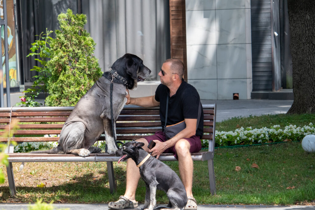 Мужчина разговаривает с собакой которая сидит на скамейке47