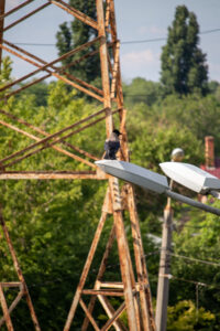 Фото тату с изображением черного ворона, сидящего на фонаре. На заднем плане видны деревья и линии электропередач. Идеально для любителей мистики и готики.