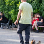 Фото мужчины, гуляющего с собакой, на руке которого видна татуировка в стиле ориентал. Черно-серый рисунок тату на предплечье.