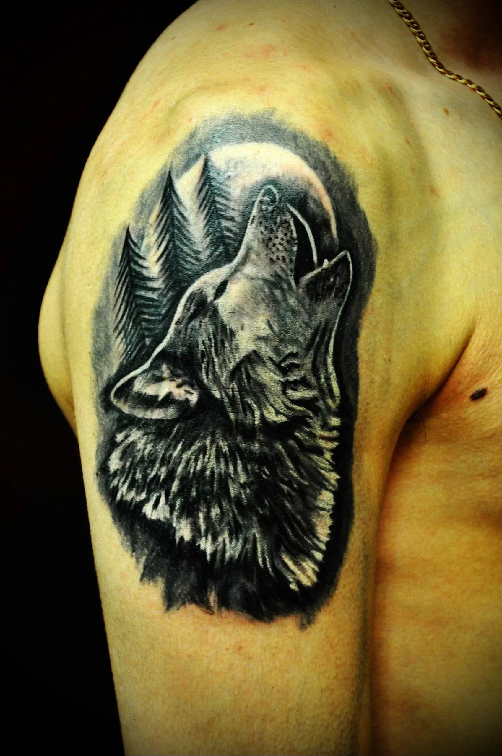 Pin on Тату Wolf tattoo sleeve, Wolf tattoo design, Best sleeve tattoos