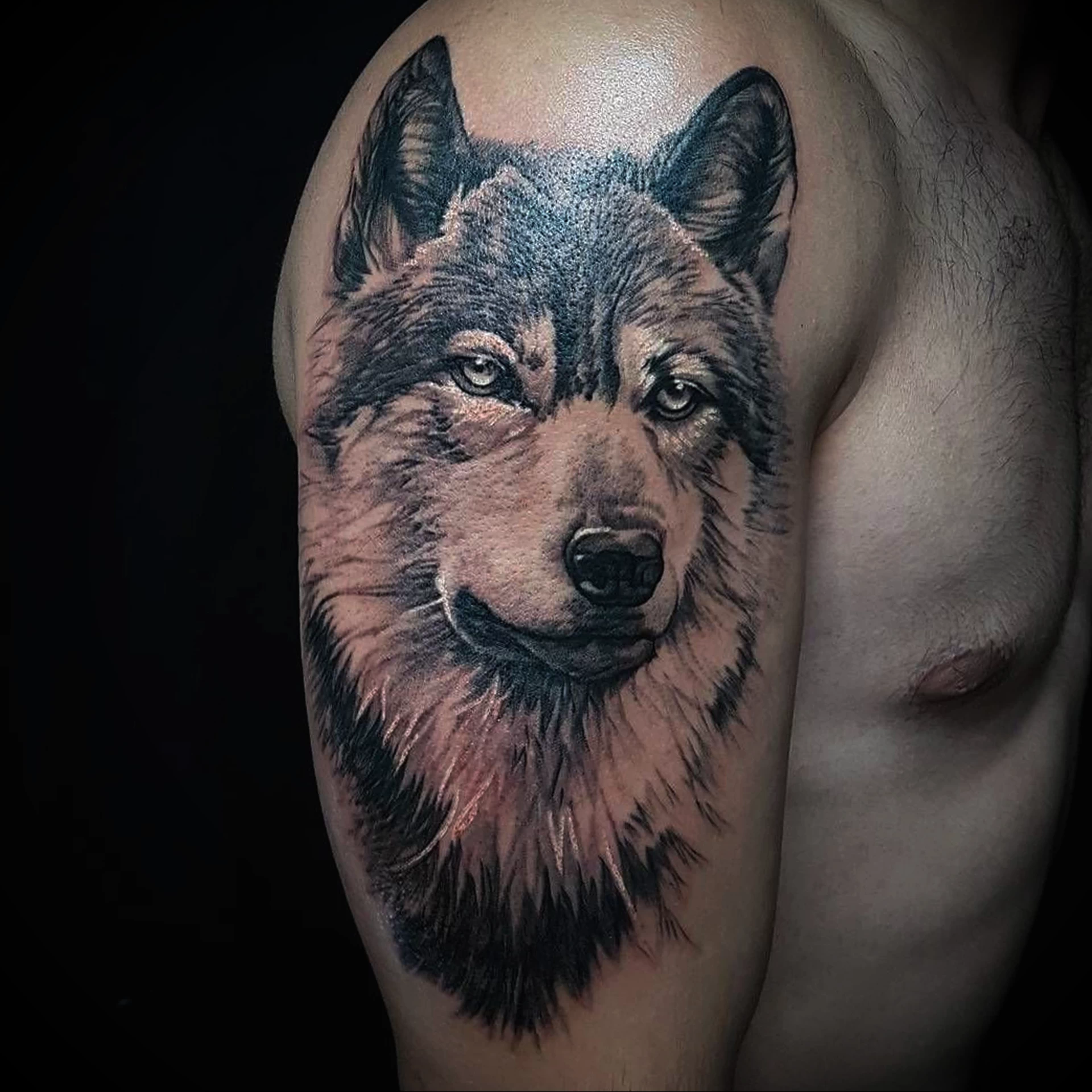 Волк на плечо мужские. Tatuirovki волк. Тату волка на плече. Тату Волох на плече для мужчин. Тату волка на плече мужские.