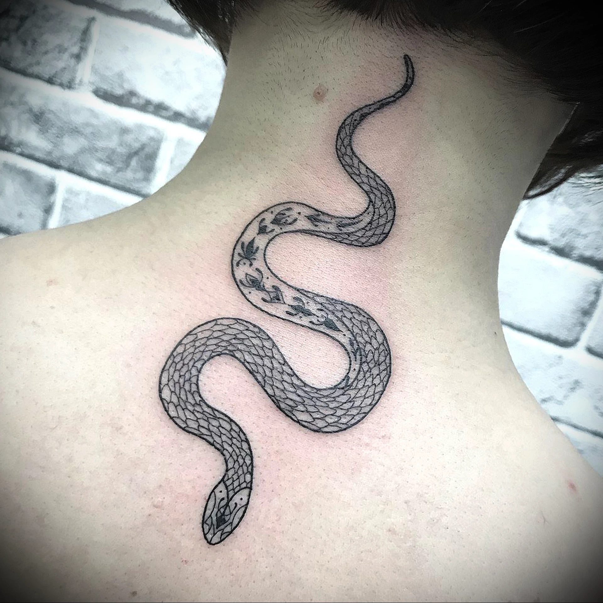Татуировки змеи для девушек. Тату змея на шее. Тату змеи для девушек. Тату змея для девушек. Тату маленькая змея на шее.