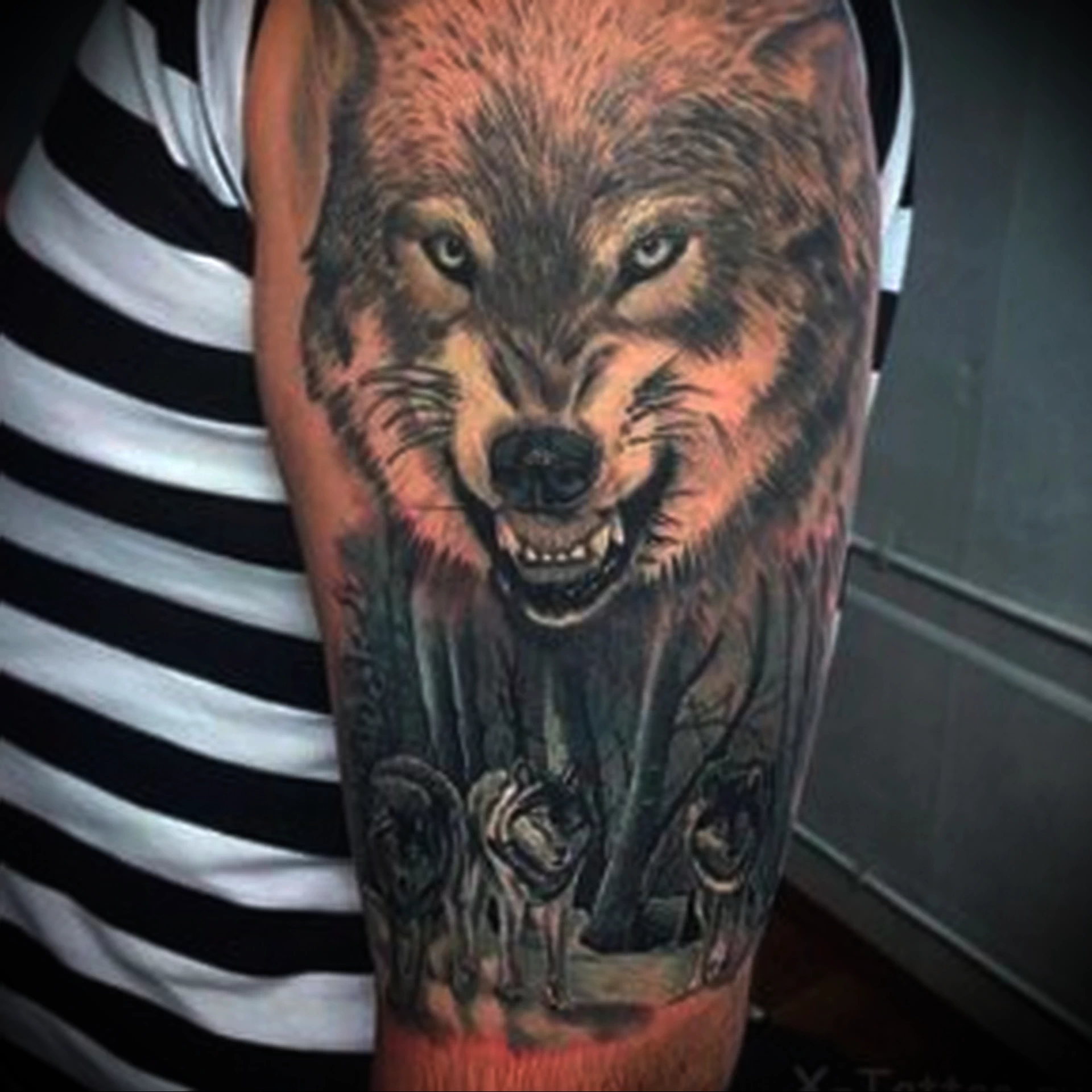 Волк на плечо мужские. Тасманский волк тату. Тату оскал волка на плече. Оскал волка тату. Татуировки волка для мужчин.