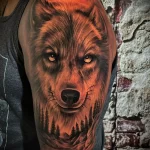 Фото пример татуировки с рисунком волка 24.01.23 №0040 - tatufoto.com