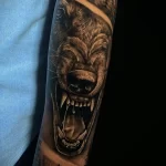 Фото пример татуировки с рисунком волка 24.01.23 №0202 - tatufoto.com
