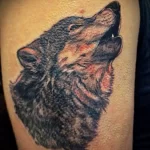 Фото пример татуировки с рисунком волка 24.01.23 №0234 - tatufoto.com