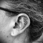 Фото рисунка татуировки на ухе 11.01.23 №0106 - tatufoto.com