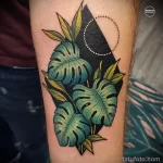 Фото рисунка татуировки растение для денег 18.01.23 №0006 - tatufoto.com