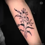 Фото рисунка татуировки растение для денег 18.01.23 №0025 - tatufoto.com