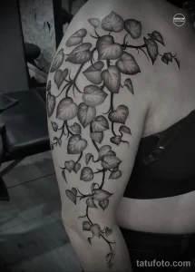 Фото тату: реалистичная татуировка в виде ветвей плюща, обвивающих плечо и переходящих на грудь, выполненная в черно-серых тонах.
