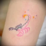 татуировка розовый скорпион и звёздочки - tatufoto.com 010323 - 034