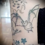 татуировка с летучей мышью на руке девушки - tatufoto.com 010323 - 049