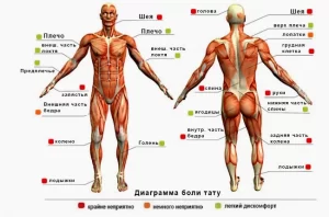 Фото тату: схема болевых ощущений при нанесении татуировки на различные части тела. Красный цвет - крайне неприятно, желтый - немного неприятно, зеленый - легкий дискомфорт.