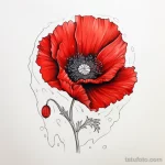 Red poppy beautiful sketch for tattoo on a white she eecde a c b fefefede _1 231123 tatufoto.com