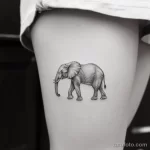 Интимное тату на фото - Small elephant tattoo on the upper thigh style ra ccfb e ffeac _1_2_3 - 080224 tatufoto.com 392