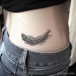 Интимное тату на фото - Stylized feather tattoo on the lower abdomen styl cec e b bcea ecfaa _1 - 080224 tatufoto.com 460