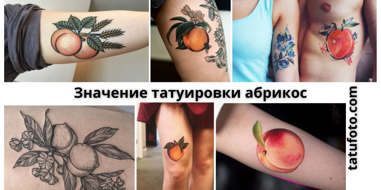 Значение татуировки абрикос: история, символика и лучшие идеи для вашего рисунка