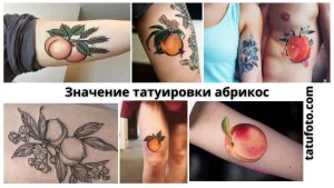 Фото тату: коллаж из нескольких изображений татуировок с абрикосами в разных стилях и на разных частях тела. Реализм, графика, акварель, черно-белые и цветные тату.