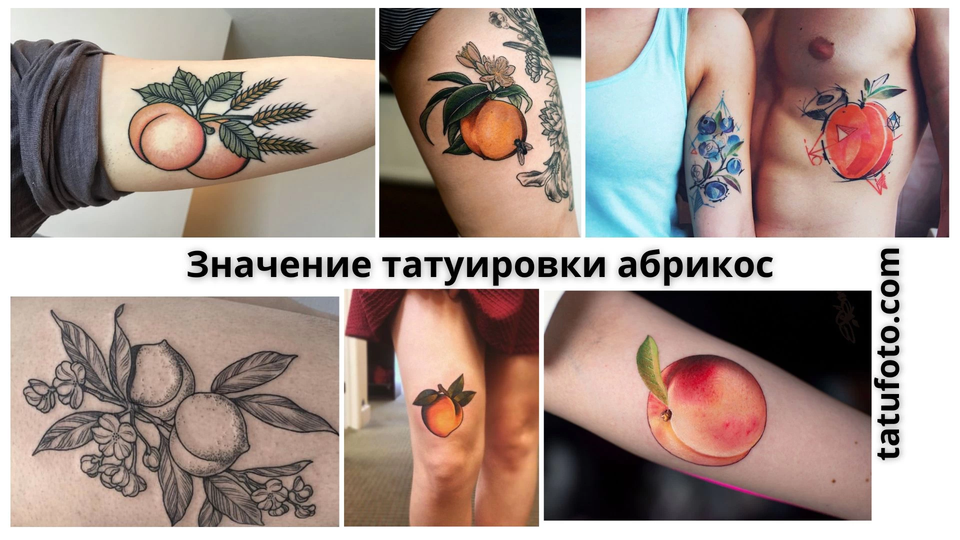 Значение татуировки абрикос - картинка для tatufoto.com 22082024