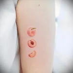 Пример рисунка татуировки с абрикосом - 210824 tatufoto.com 24