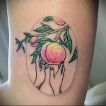 Пример рисунка татуировки с абрикосом - 210824 tatufoto.com 28