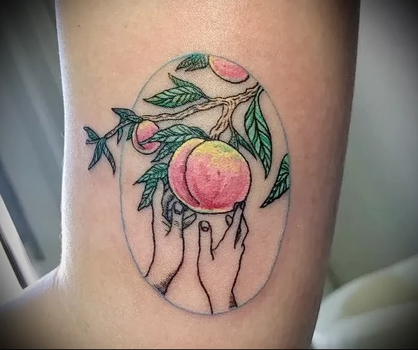 Пример рисунка татуировки с абрикосом - 210824 tatufoto.com 28