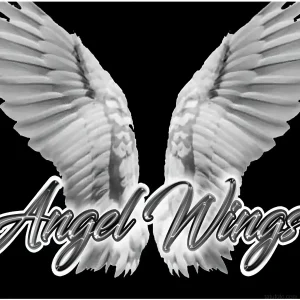 Черно-белое изображение тату ангельских крыльев с надписью 'Angel Wings'