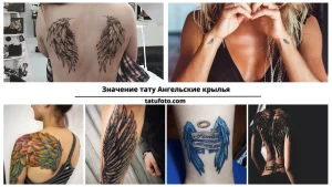 Фото тату: коллаж из нескольких фотографий татуировок ангельских крыльев на разных частях тела. Эскизы татуировок в различных стилях и размерах.