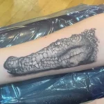 Фото пример рисунка тату с аллигатором - 090924 tatufoto.com 58