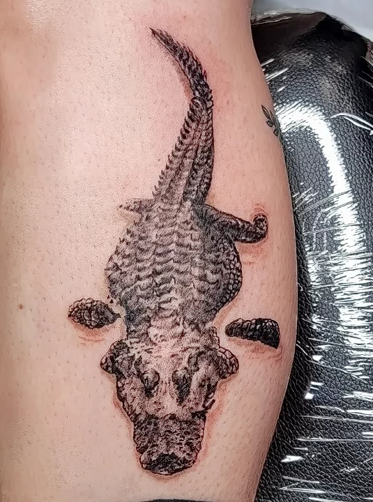 Фото пример рисунка тату с аллигатором - 090924 tatufoto.com 71