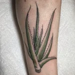 тату Алоэ фото для tatufoto.com 1