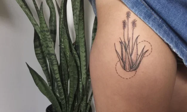 Aloe Tattoo Bedeutung: Symbolik, Stile und Designideen
