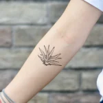 тату Алоэ фото для tatufoto.com 5