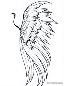 Эскиз тату ангельские крылья – Sketch of angel wings tattoo – tatufoto.com _362_11/15/2024 04:03:50