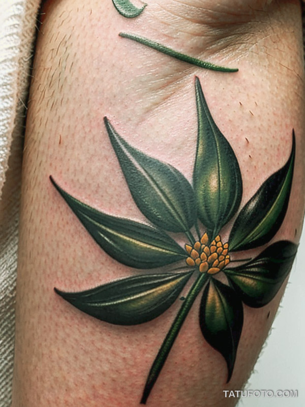 Кулинарные тату шеф-поваров - Close-up of a garlic bulb and herbs tattoo, tatufoto.com 175