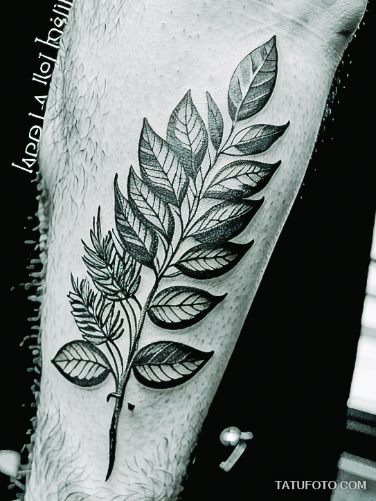 Кулинарные тату шеф-поваров - Detailed botanical tattoo sketch of fresh herbs like rosemary and thyme, tatufoto.com 530