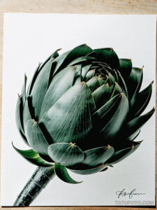 Кулинарные тату шеф-поваров - Simple black ink drawing of an artichoke, tatufoto.com 138